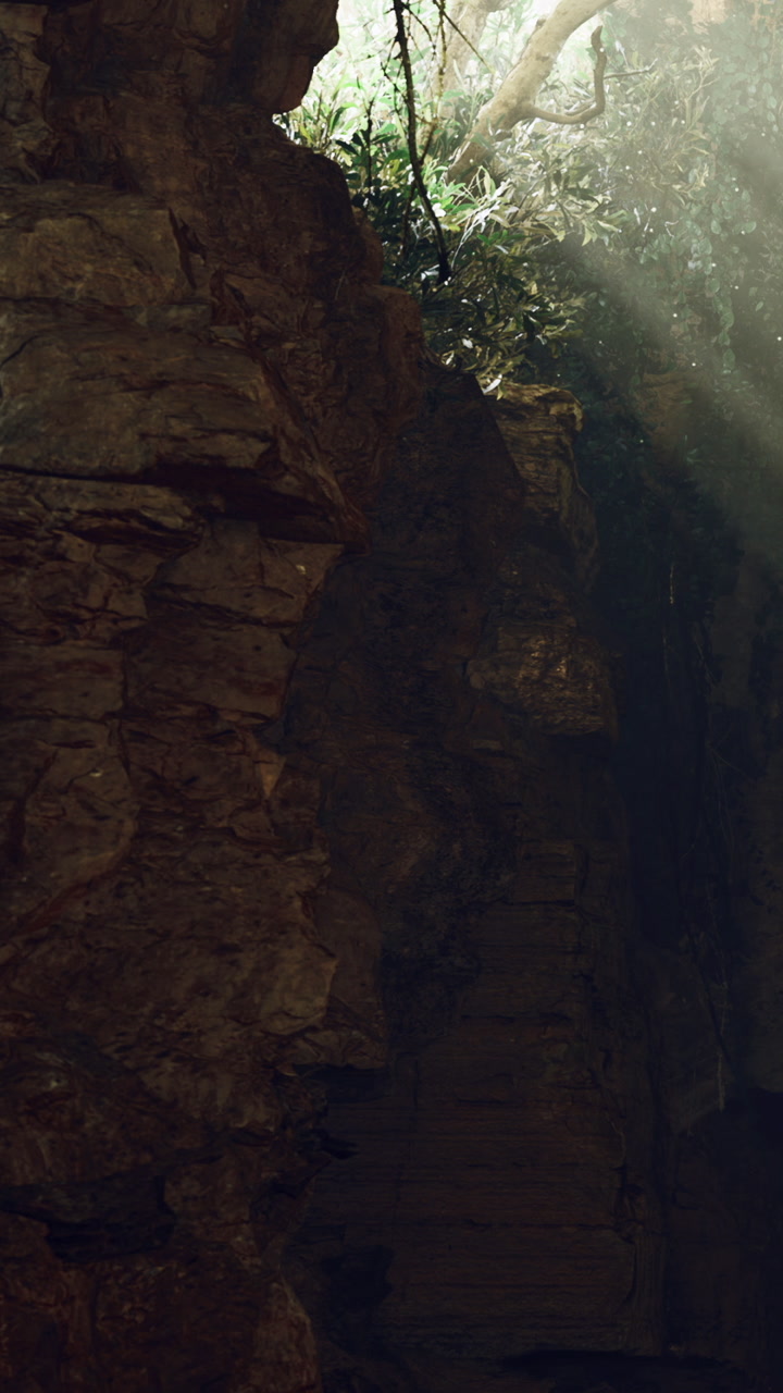 Sunlight streaming through rocky crevices in a serene forest setting