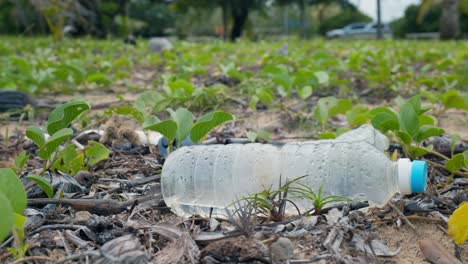 basura arrastrada a una playa remota en el extremo norte de australia