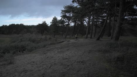 runner by the lake in the evening
