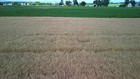 Aerial-drone-view-of-agriculture-farmland-during-sunset