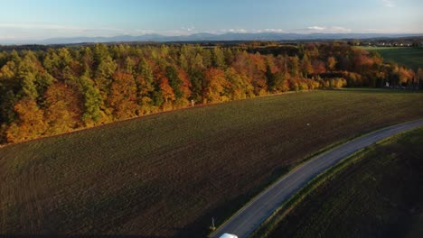 Autumn-Forest-By-The-Fields-On-Sunny-Morning-In-Czech-Republic