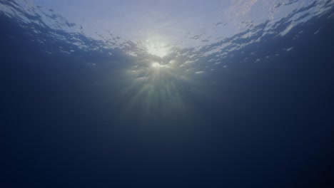 golden evening sun shines through the oceans surface in clear blue tropical water