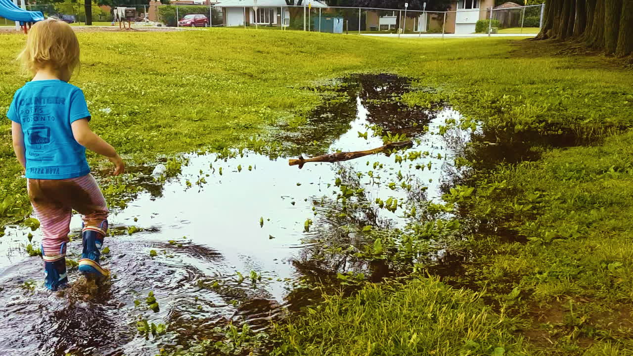 A toddler wades and splashes through a deep puddle in rain boots