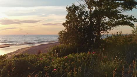 full shot of lonely woman admiring beautiful sunset by sea, pan reveals sea