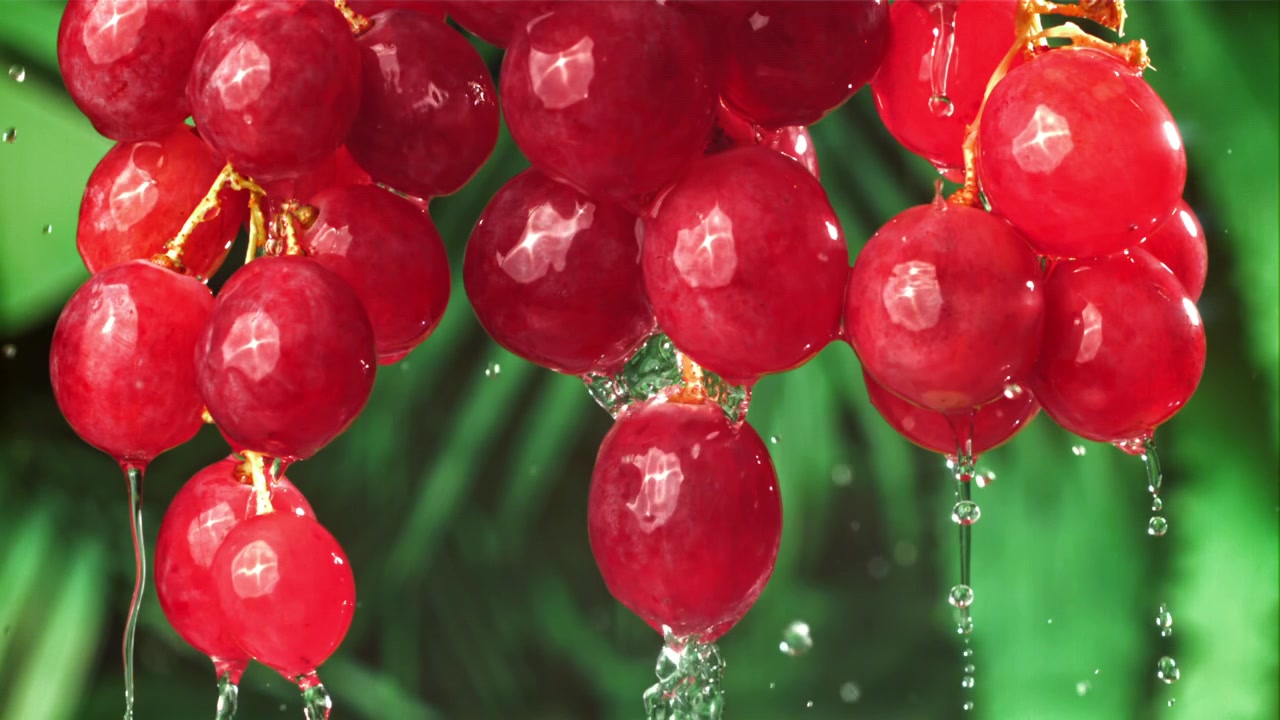 Zeitlupe: Wasser spritzt auf frische rote Trauben