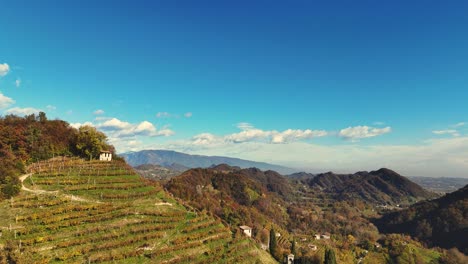 Vista-Aérea-Del-Paisaje-Sobre-Las-Colinas-Italianas-De-Prosecco,-Hileras-De-Viñedos,-Con-Montañas-Al-Fondo