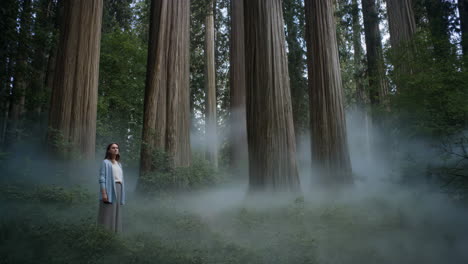 a woman standing in a foggy redwood forest