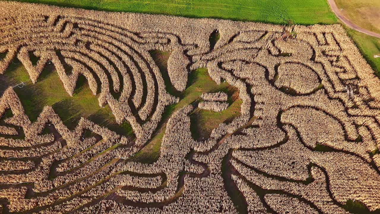 Aerial view of an intricate corn maze in Traverse City, Michigan, USA, celebrating harvest