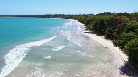 aerial view of playa blanca, cahuita national park, natural landmark of costa rica