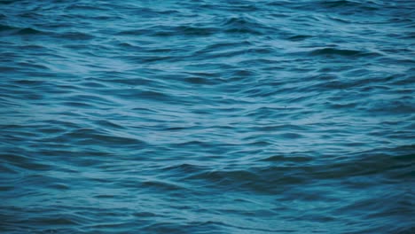 calm ocean waves
