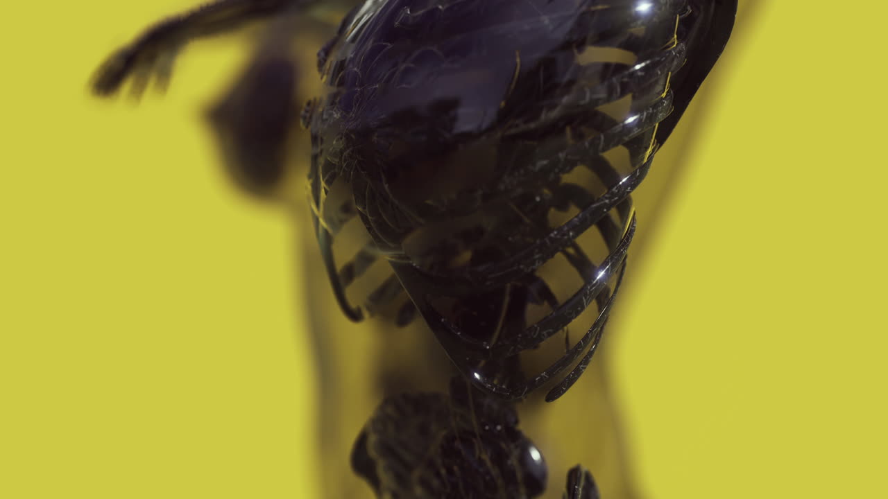 examen detallado de la anatomía del esqueleto humano con un fondo colorido