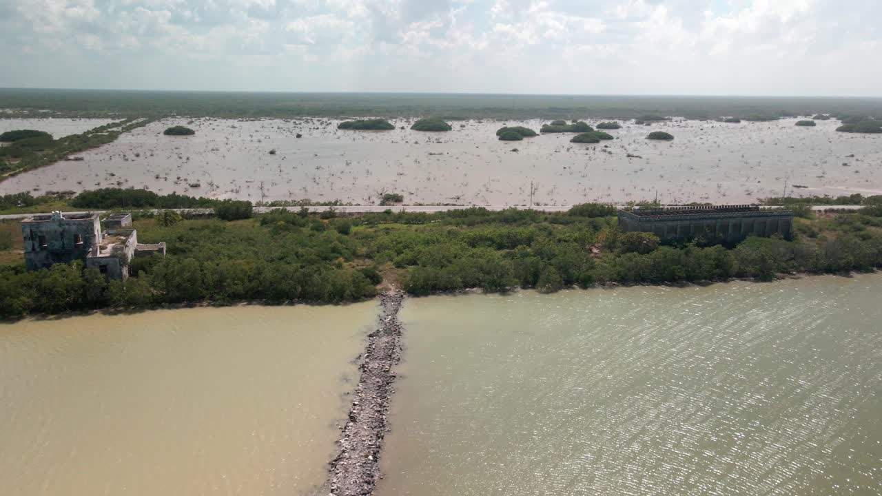 유카탄의 맹그로브 해안선