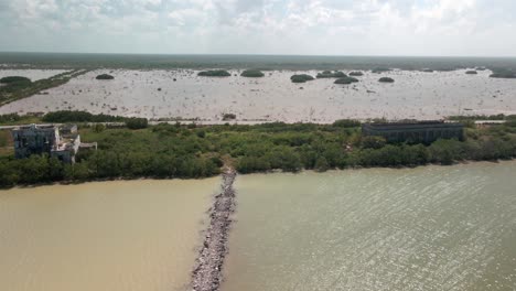 shoreline of mangrove in yucatan