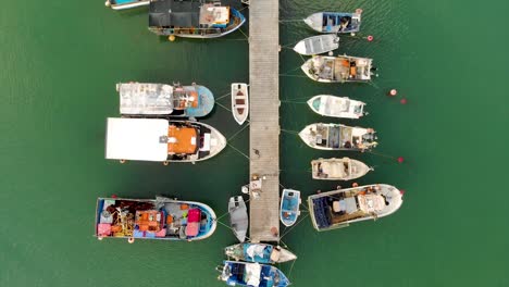 line of fishing boats moored on a dock in portugal