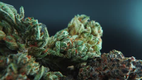 una toma cinematográfica macro de una planta de cannabis, cepas híbridas, indica y sativa, flor de marihuana, en un soporte giratorio de 360, cámara lenta, 4k