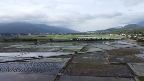 aerial shot of rice fields in yokohama city, kanagawa prefecture, japan