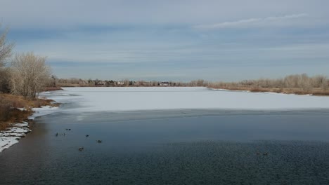 Ein-Flug-über-Enten,-Die-Neben-Einem-Zugefrorenen-See-Spielen