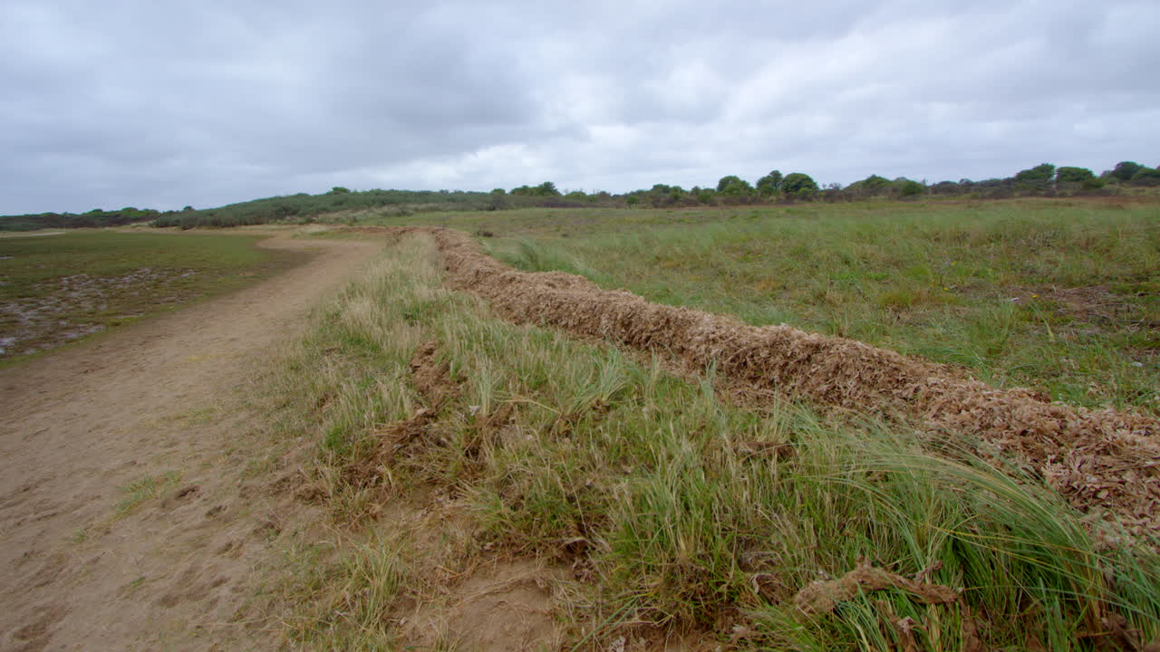 amplia toma de escombros de marea algas construidas en la marea alta marca de agua marea alta en theddlethorpe, dunas, reserva natural nacional en saltfleetby
