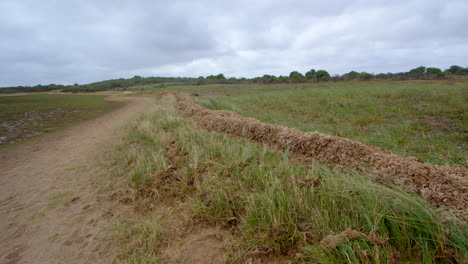 Plano-Amplio-De-Restos-De-Algas-Acumuladas-Durante-La-Marea-Alta-En-Theddlethorpe,-Dunas,-Reserva-Natural-Nacional-En-Saltfleetby