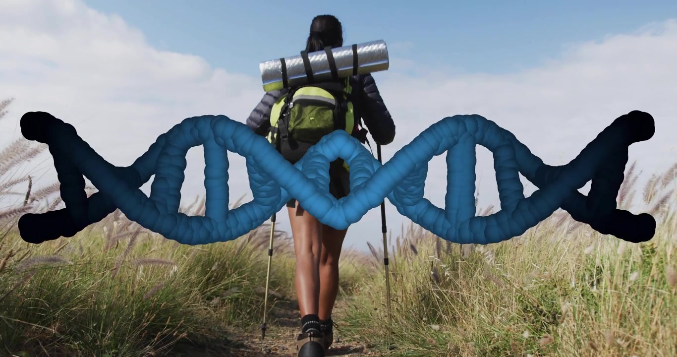 Escursionista donna con bastoncini da trekking su un sentiero, che innesca lo scorrimento dell'elica del DNA e visualizza dati genetici.