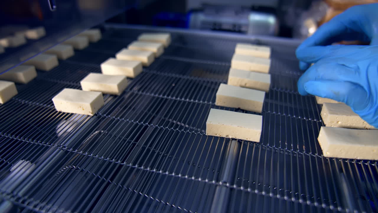 Factory worker placing white candies on the conveyor. Confectionery factory production of sweets. Close up of small pieces of sweets.