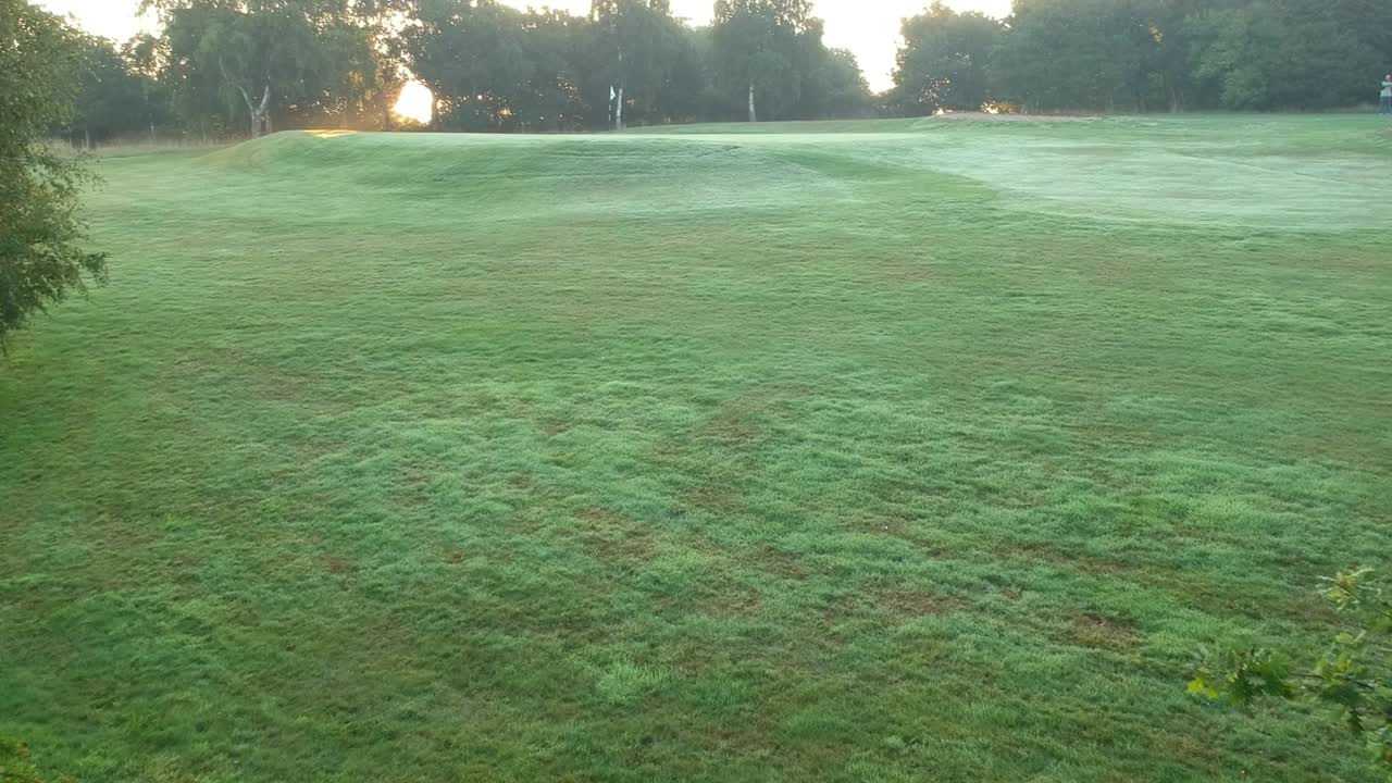 골프 코스에서 두 나무 사이의 공중