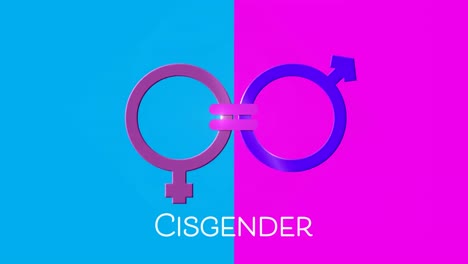 cisgender text and symbol on pink and blue background