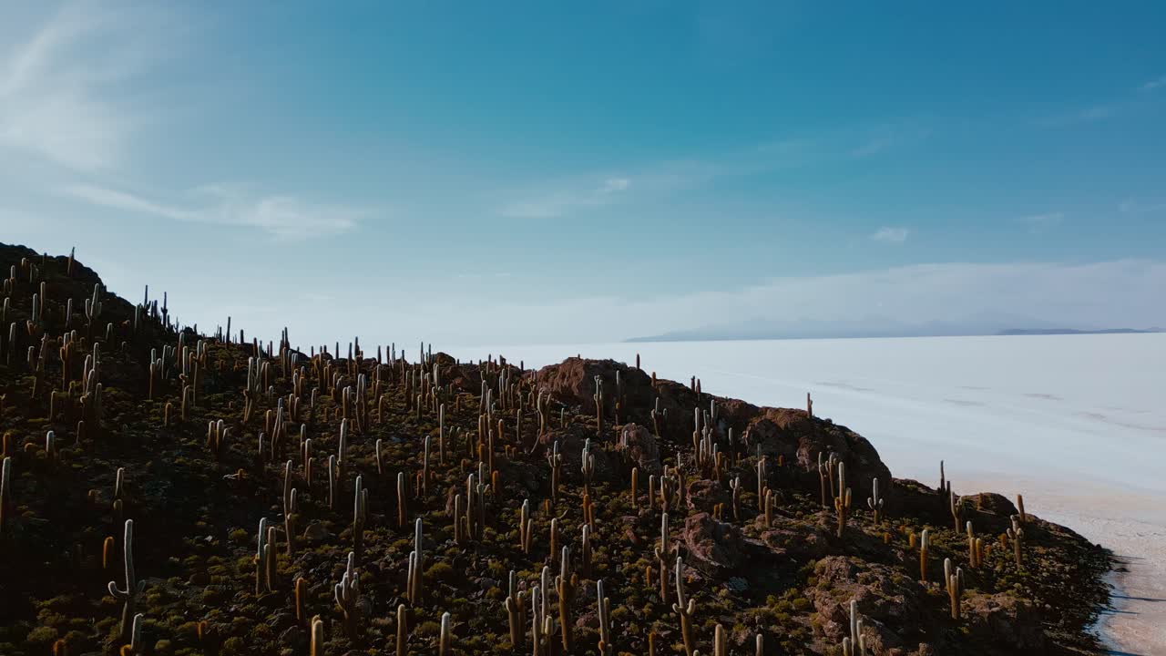 Awe-inspiring drone footage showcasing Isla Incahuasi, Salar de Uyuni's expansive salt flats, and the unique cacti that add to the allure of the landscape from above