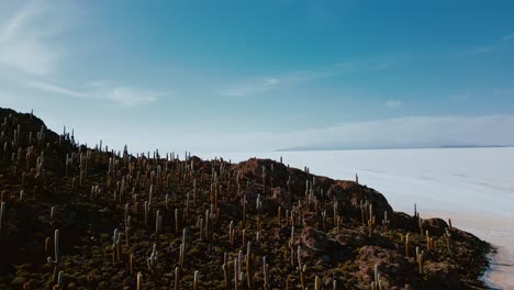 awe-inspiring drone footage showcasing isla incahuasi, salar de uyuni's expansive salt flats, and the unique cacti that add to the allure of the landscape from above
