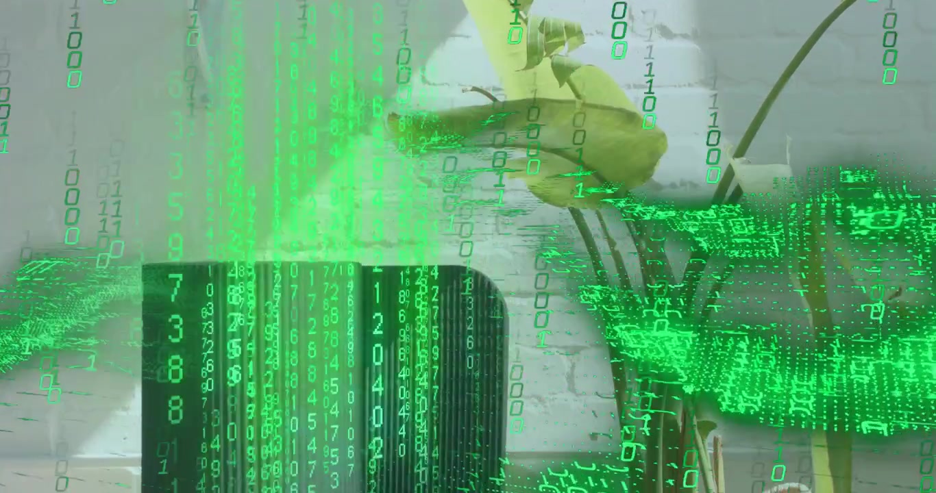 Green numerals starting to fall across speaker and plant before retreating showing digital glitch