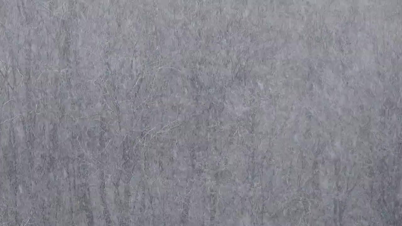 Blizzard in the winter.