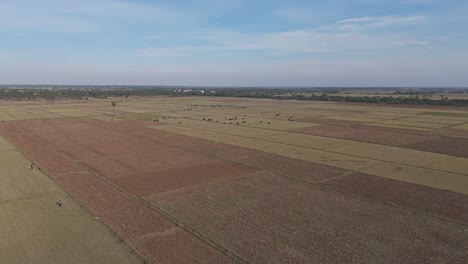 rural landscape of amaravati with vast fields and minimal structures.