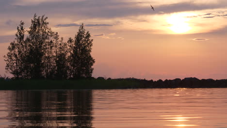 Lago-Tranquilo-Al-Atardecer,-Nariz-De-Pájaro-Se-Sumerge-En-El-Agua