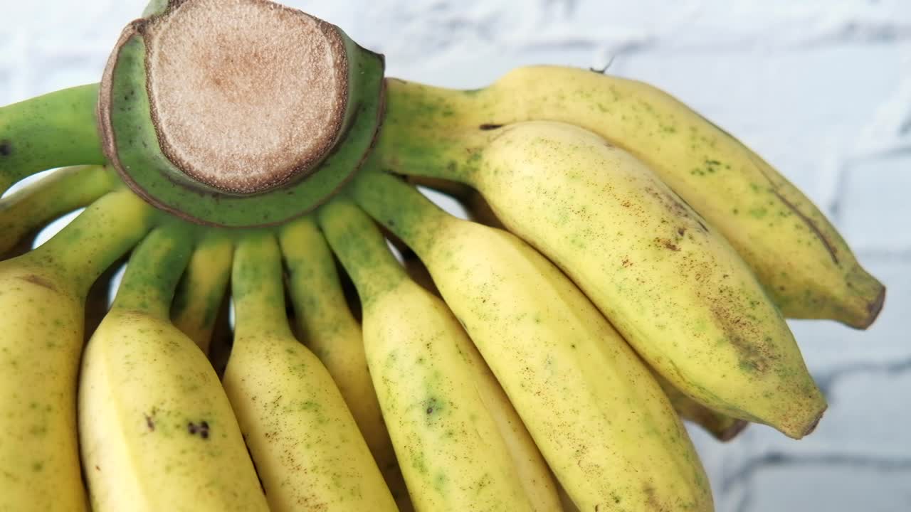 바나나  ⁇ 어리