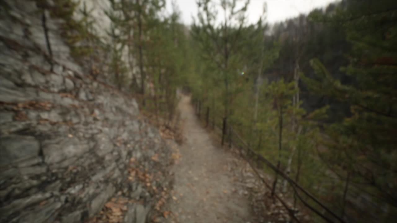 persona caminando por un sendero de montaña a través de un bosque