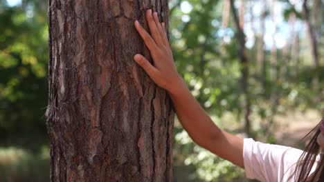 una persona tocando un tronco de árbol en un bosque