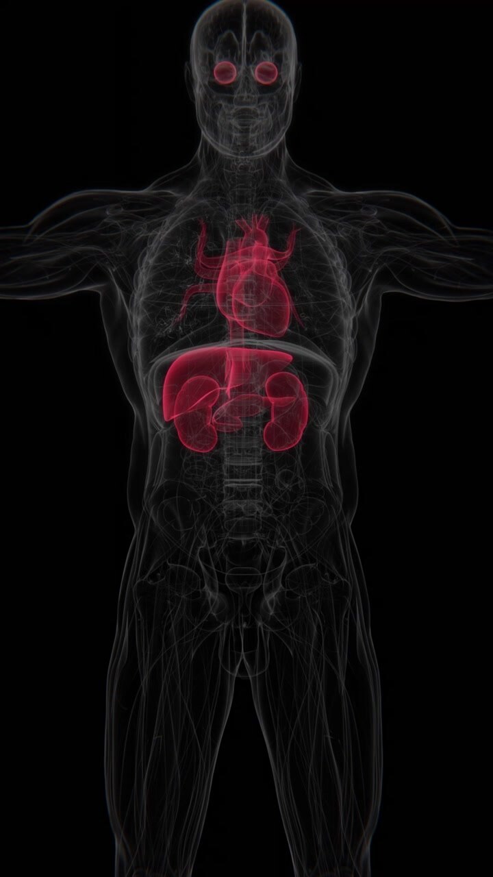 Organs effects by Diabetes in X-Ray Vertical HD Video | Diabetes and Its Effects on Organs Vertical X-Ray HD Video