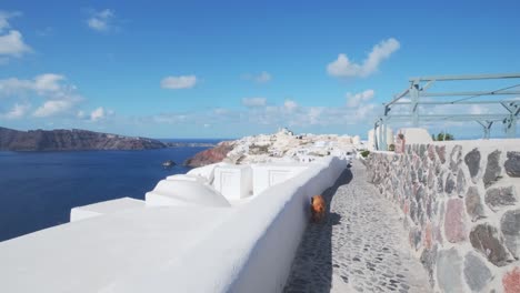 Dog-walking-on-the-streets-of-Oia,-Santorini