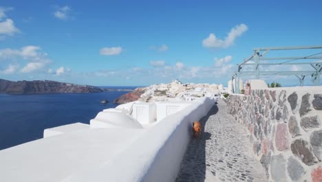 perro paseando por las calles de oia, santorini