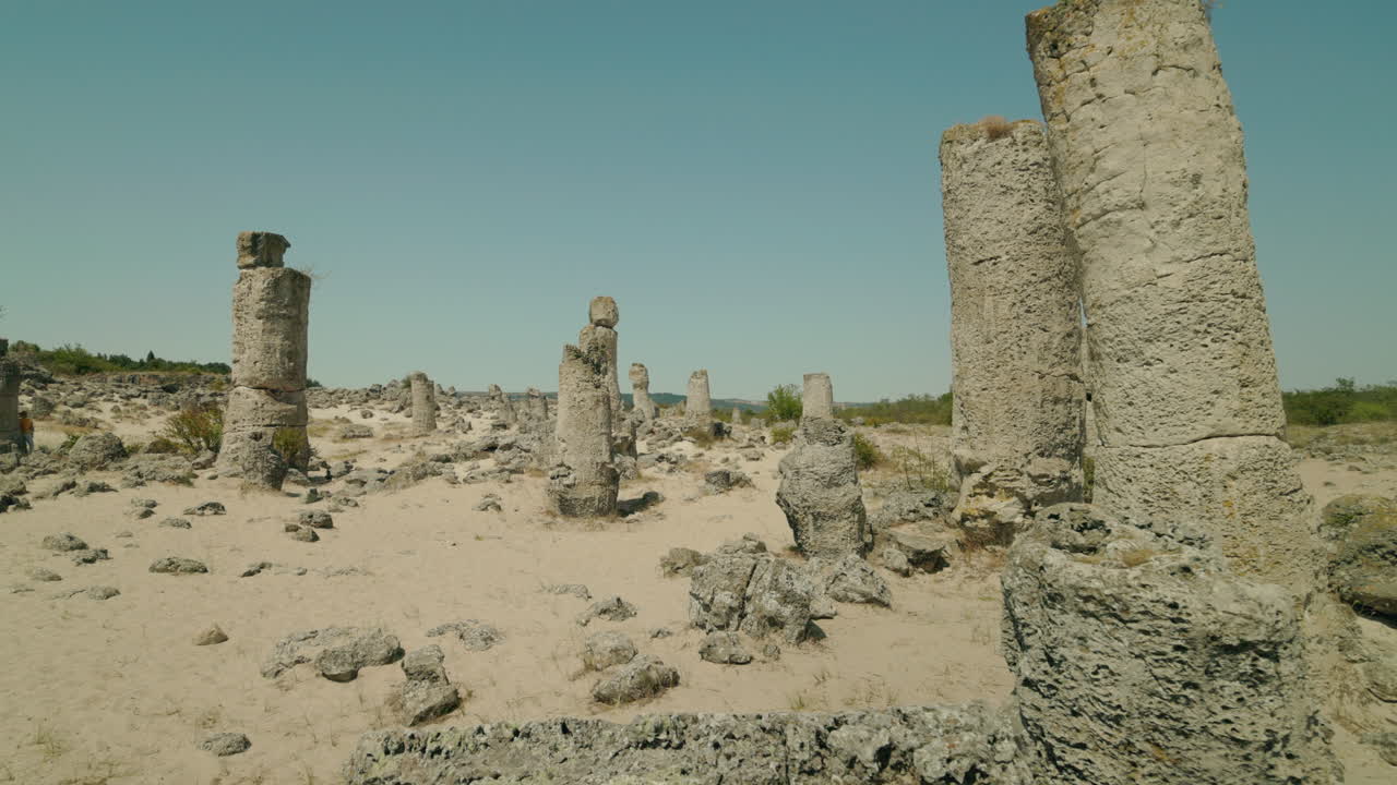Stone Forest Landscape