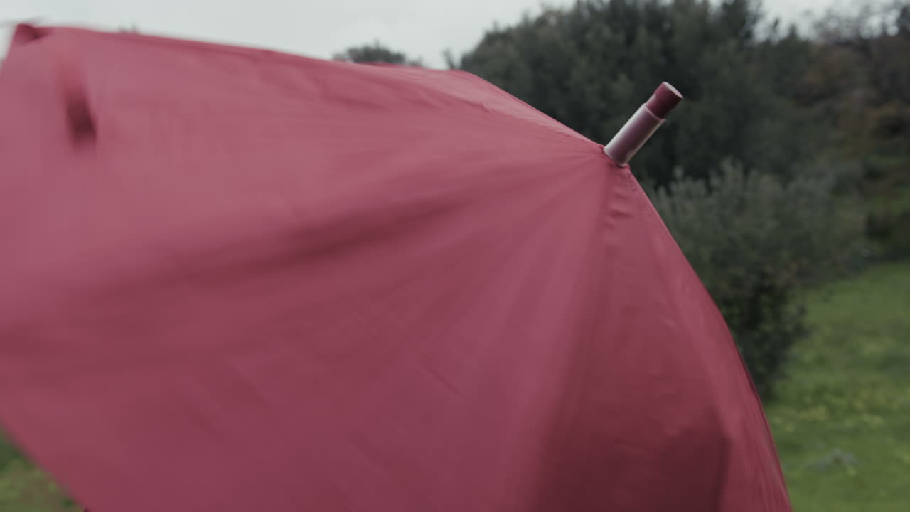 빨간 우산은 자연의 초원에서 구름이 많은 날에 빠르게 회전합니다.