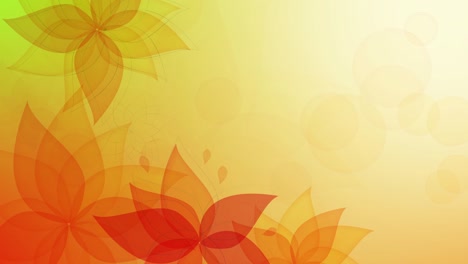 flower background, loop animation 4k with colorful flowers, motion graphics