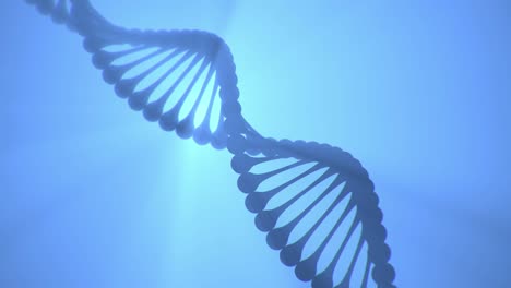 3d rendered looped animation of dna helix turning around on blue background