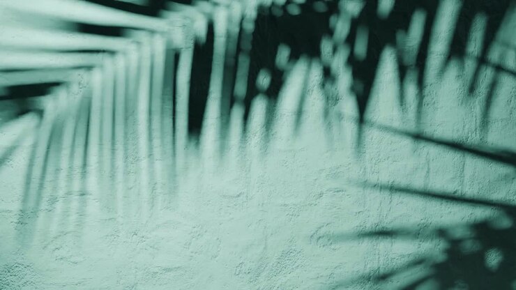 Shadow of palm leaves on textured green plaster wall with natural sunlight. Tropical plant silhouette on stucco surface. Design for wallpaper, banner, postcard, greeting card, poster, vertical