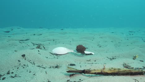 Unterwasseraufnahmen-Von-Einst-Weggeworfenen-Plastikutensilien,-Die-Schließlich-Auf-Dem-Meeresboden-Landeten-Und-In-Der-Strömung-Trieben