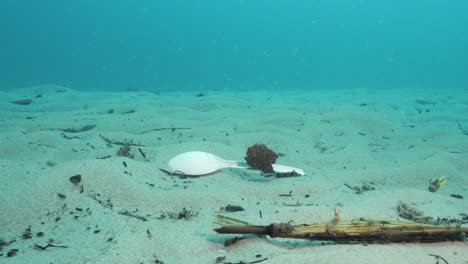underwater footage of one time use plastic utensil discarded and ending up on the ocean floor floating in the current