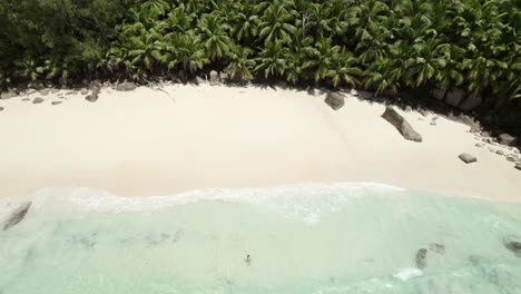 mahe seychelles young woman, walking inside the ocean waves on the sunny beach