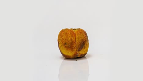 time lapse of peach rotting on a white background, the process of decomposition and decay, shooting period 10 days