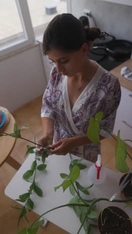 woman propagating houseplants in kitchen
