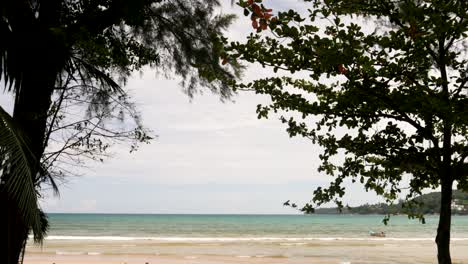 view of the sea and the beach